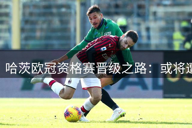 哈茨欧冠资格赛晋级之路：或将遭遇费内巴切与扎布热矿工